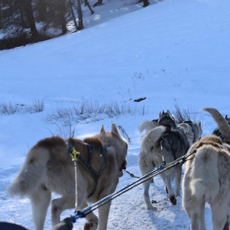 Residence Le Schuss Studio Montagne En Bas Des Pistes ヴァール エクステリア 写真